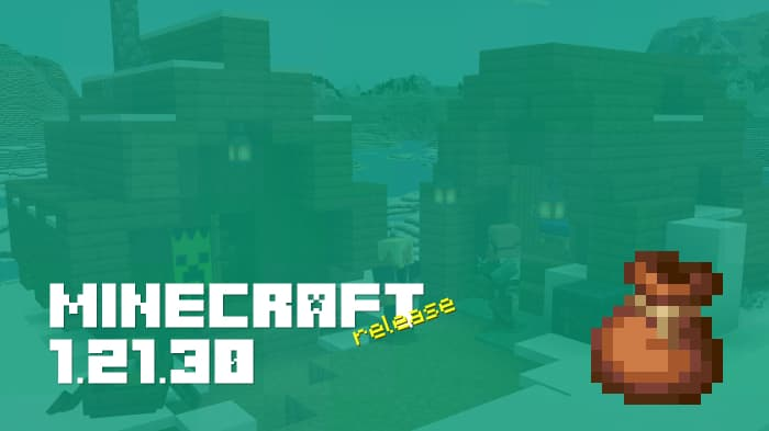 Minecraft 1.21.30 Download